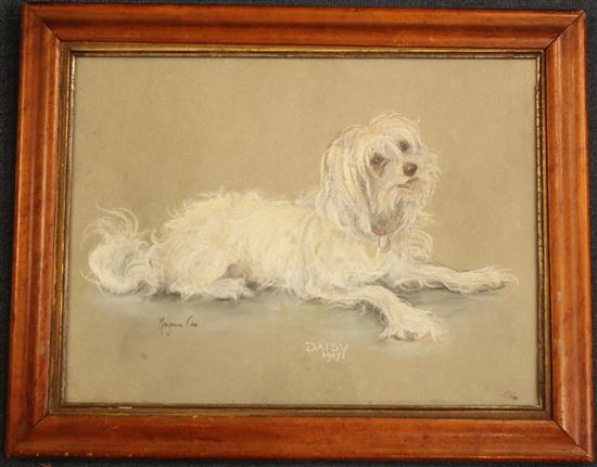 Marjorie Cox (20th C.) Portrait of a white terrier Daisy, 12 x 16in.